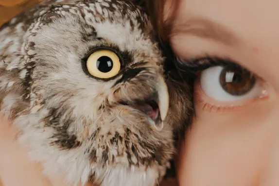 Paradise Casino Support